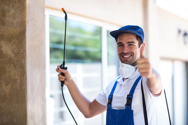 Boerne Wasp Removal