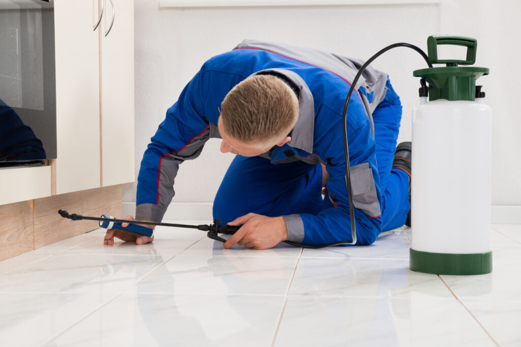 Boerne Ant Control Xperts