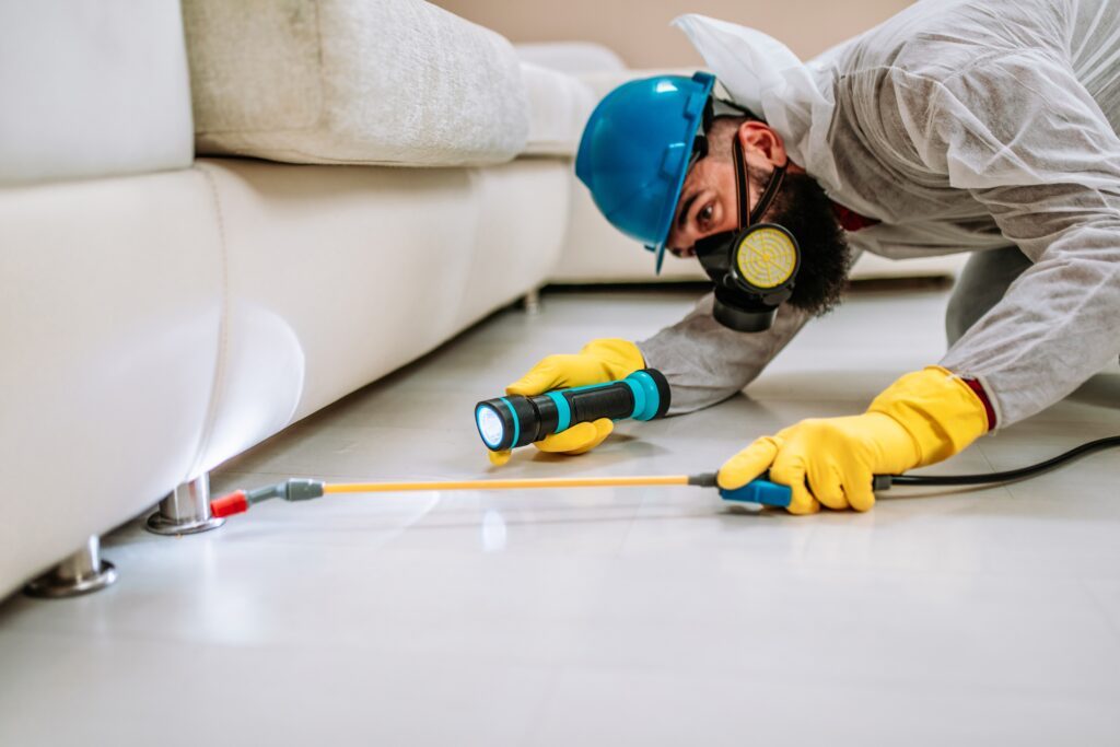 Boerne Termite Control