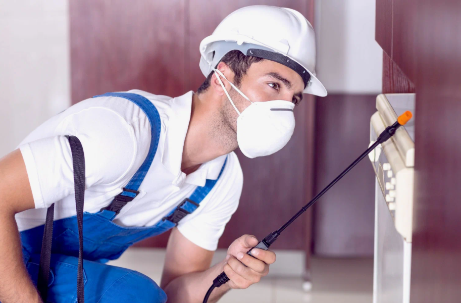 Boerne local pest services