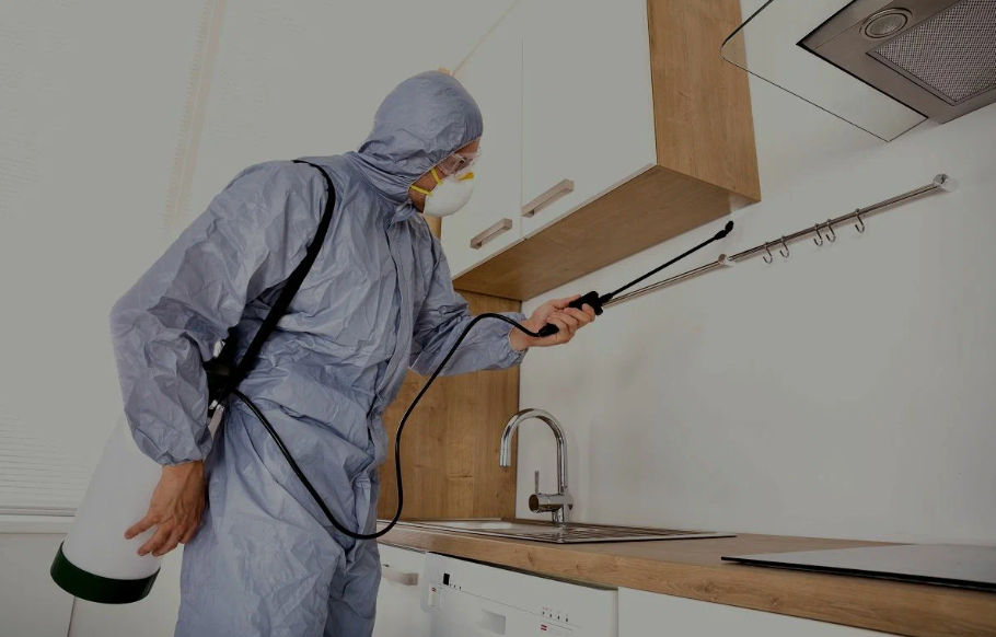 Boerne pest managment